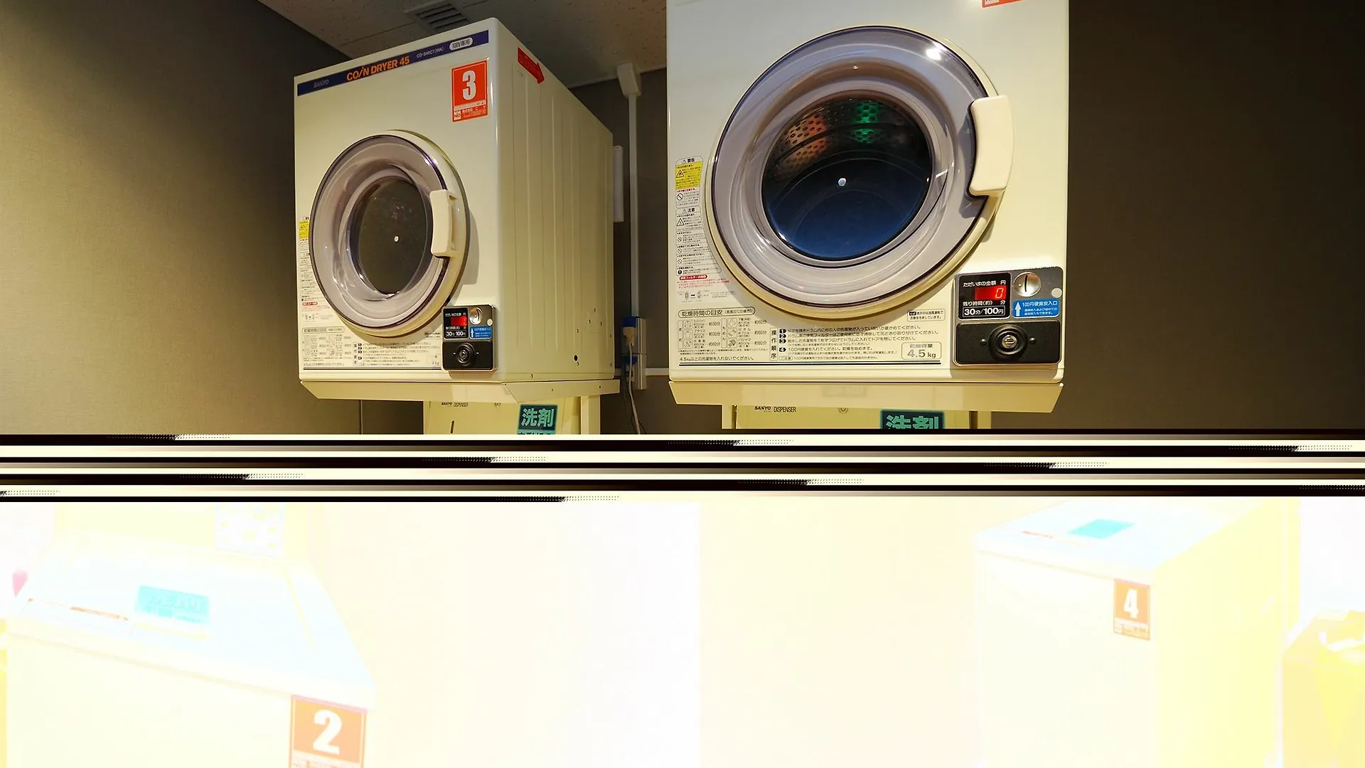 Sotetsu Fresa Inn Tokyo Kamata 3*,